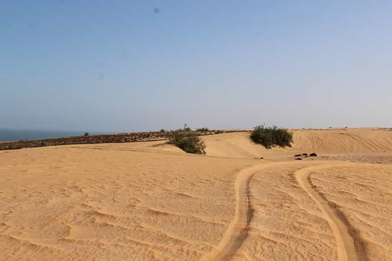 Group of friends exploring the desert landscape.