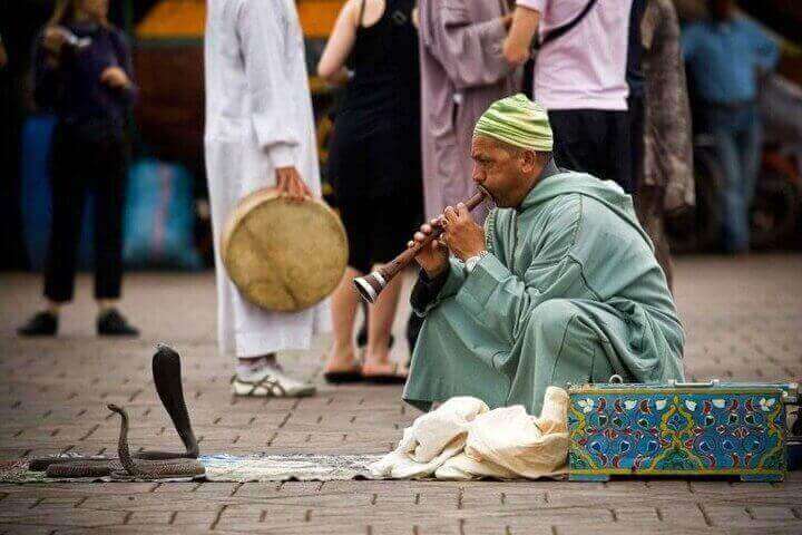 Tourists savoring traditional Moroccan cuisine during the Agadir to Marrakech day tour.