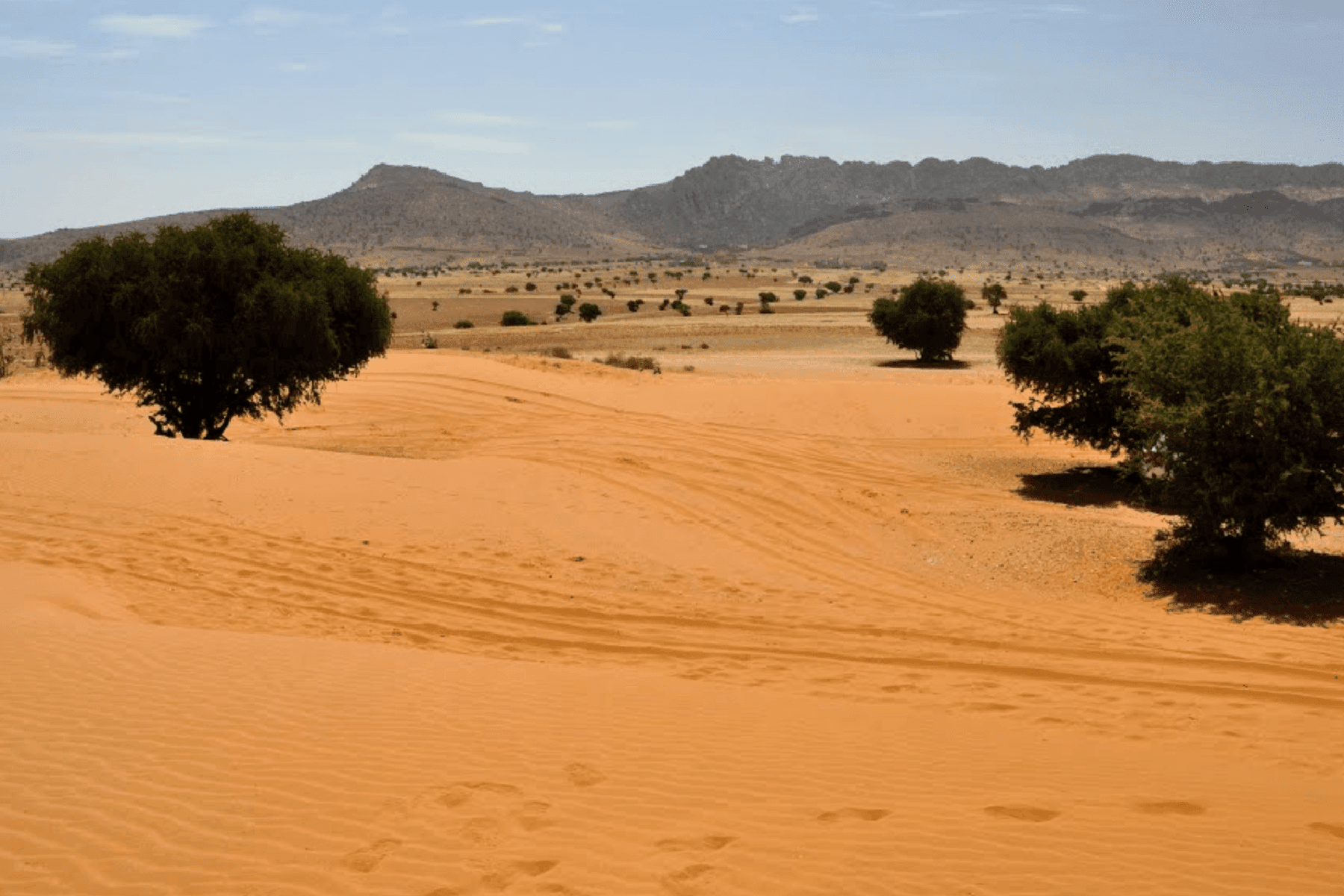 Stunning view of the Agadir small desert during a day trip.