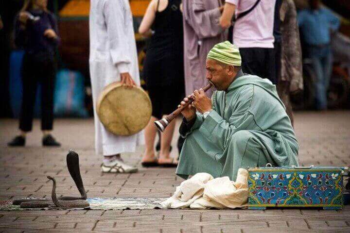 Guided Marrakech day tour from Taghazout with a local guide.