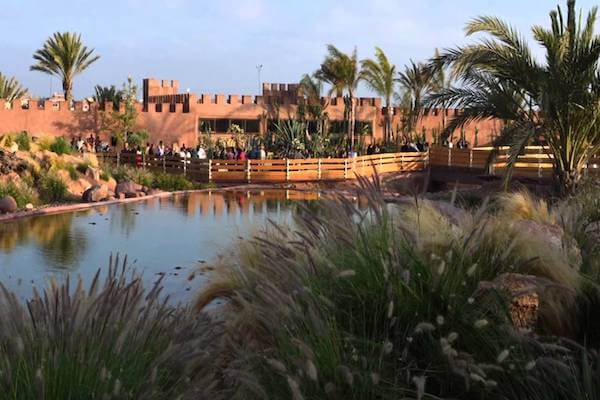 Serene lake at Crocoparc with crocodiles and lush greenery in Morocco.