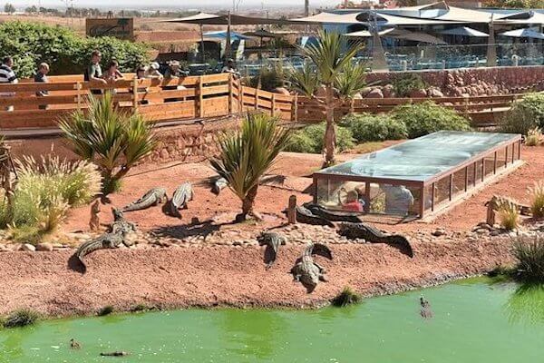 Lush tropical gardens in Crocoparc, Morocco.