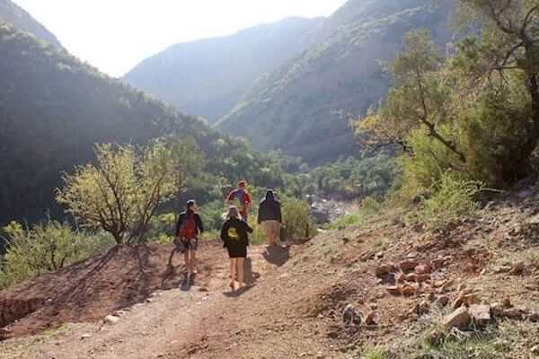 A hiker walking along a scenic trail in Paradise Valley, surrounded by palm trees and rocky cliffs during a Taghazout trip to Paradise Valley.